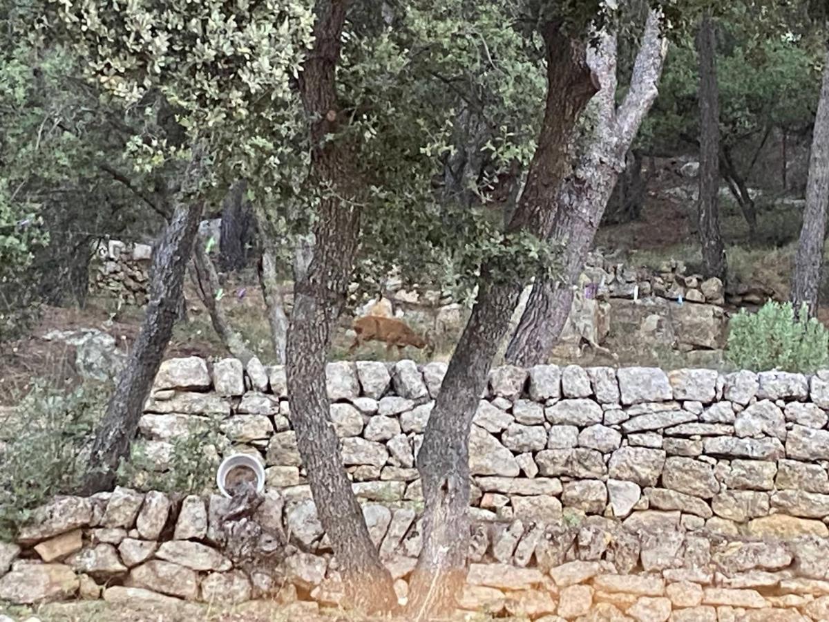 La Studette Provencale Διαμέρισμα Jouques Εξωτερικό φωτογραφία